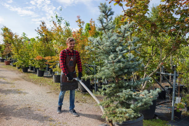  Urbana, OH Tree Services Pros